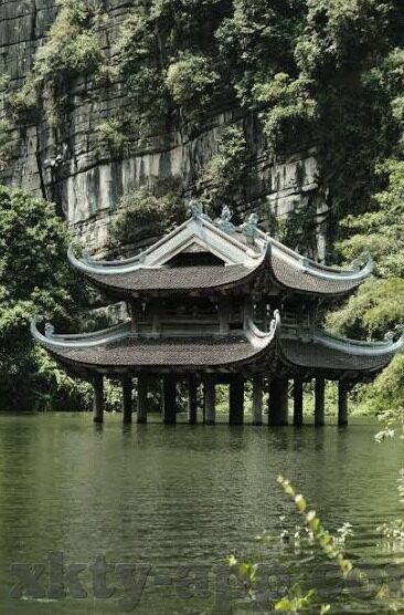 bet足球即是比分-深度剖析，BET足球比分——一场智慧与运气的博弈盛宴