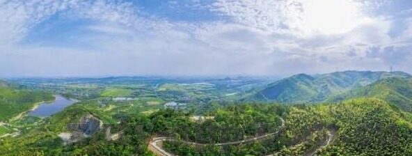 捷报足球比分直播比分下载-捷报足球比分直播，实时比分下载，畅享绿茵激情每一刻