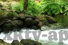体育足球比分网-揭秘！体育足球比分网，球迷的掌中宝与数据金矿