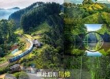 足球比分14-足球比分14，一场数字背后的激情与故事