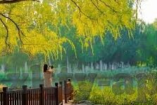 足球比分结果-足球比分结果的魅力，赛场风云的数字见证