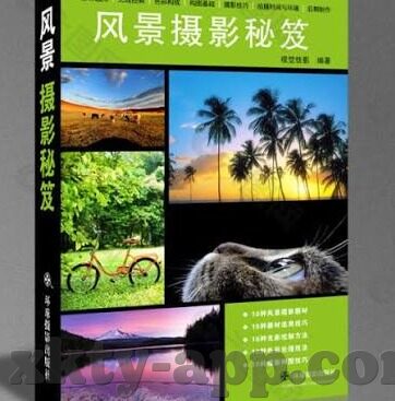 足球比分.-足球比分，绿茵场上的数字密码与情感交响